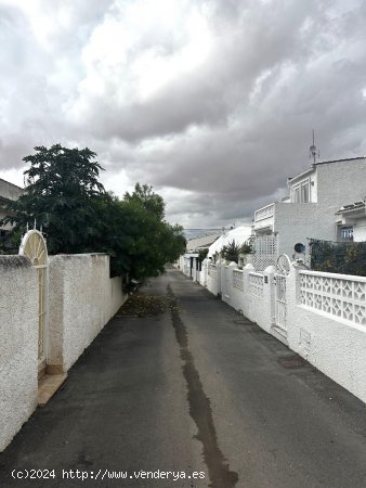 Casa en alquiler en Torrevieja (Alicante)