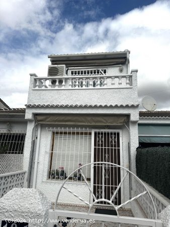 Casa en alquiler en Torrevieja (Alicante)