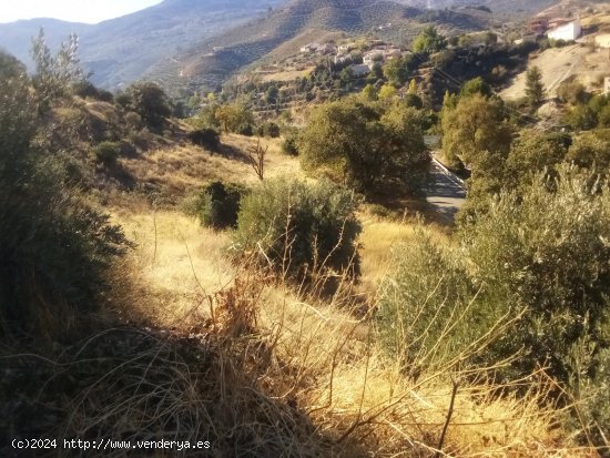 Solar en venta en Los Villares (Jaén)