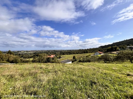 Finca en venta en Villaviciosa (Asturias)