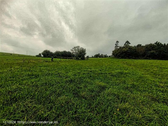 Parcela en venta en Castropol (Asturias)