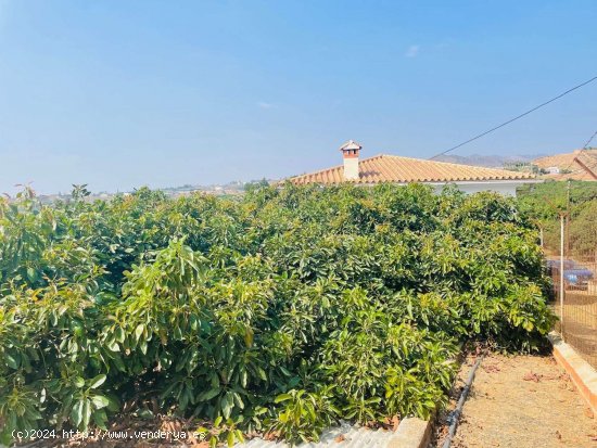 Finca en venta en Almayate (Málaga)