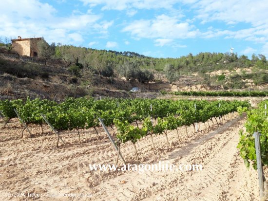 Finca en venta en Caseres (Tarragona)