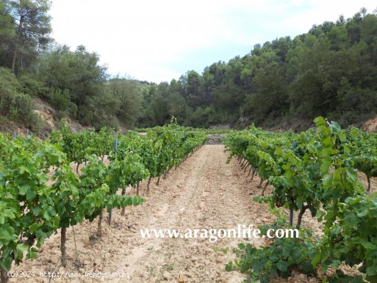 Finca en venta en Caseres (Tarragona)