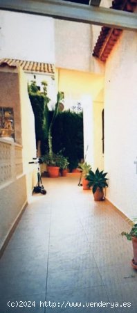 Chalet en venta en Torrevieja (Alicante)