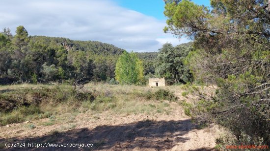  Finca en venta en Fórnoles (Teruel) 