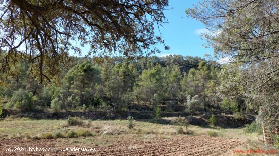 Finca en venta en Fórnoles (Teruel)