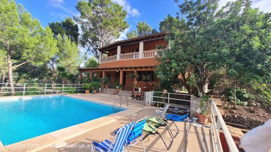  Finca en venta en Andratx (Baleares) 