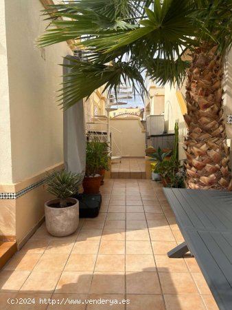 Bungalow en venta en Orihuela (Alicante)