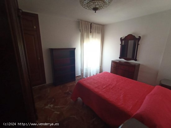 Apartamento en alquiler en Granada (Granada)