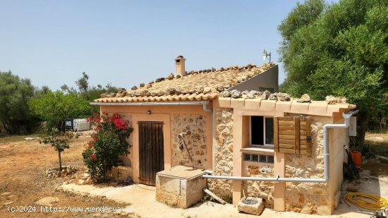  Finca en venta en Santa Margalida (Baleares) 