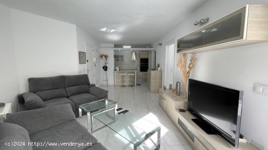 Apartamento en alquiler en Calvià (Baleares)