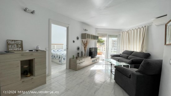 Apartamento en alquiler en Calvià (Baleares)