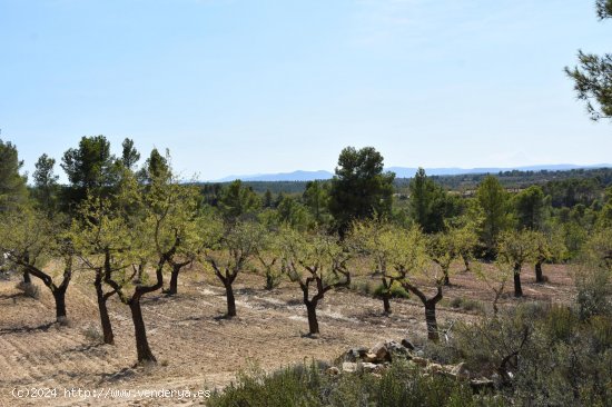 Finca en venta en Arens de Lledó (Teruel)