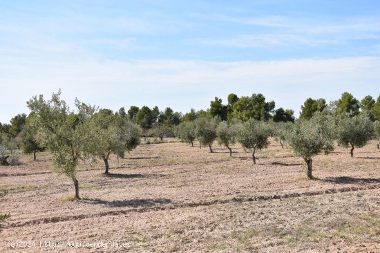 Finca en venta en Arens de Lledó (Teruel)