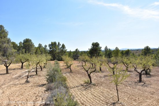 Finca en venta en Arens de Lledó (Teruel)