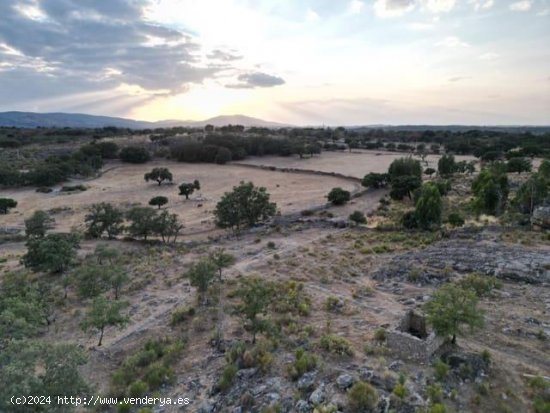  Finca en venta en Valencia de Alcántara (Cáceres) 