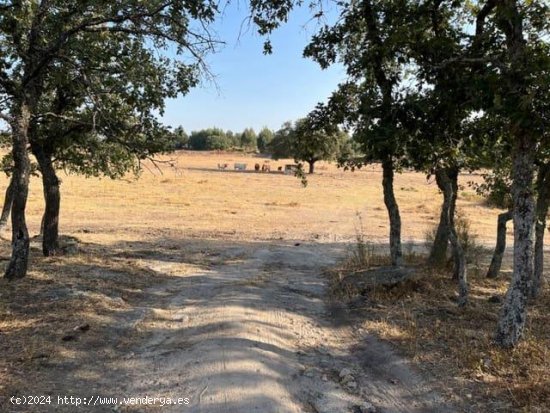 Finca en venta en Valencia de Alcántara (Cáceres)