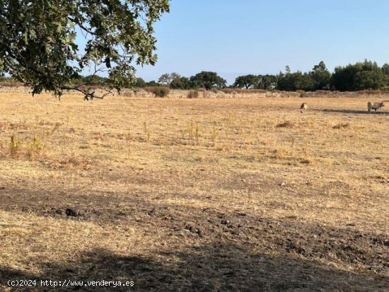 Finca en venta en Valencia de Alcántara (Cáceres)