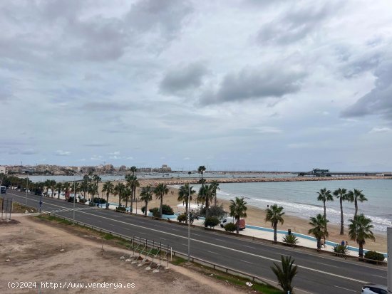  Piso en alquiler en Torrevieja (Alicante) 