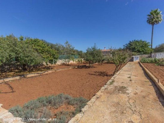 Casa en venta en Sant Lluís (Baleares)