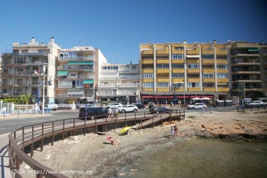  Apartamento en venta en Torrevieja (Alicante) 