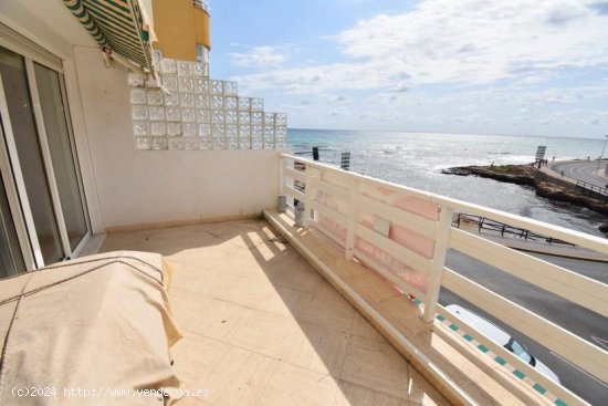 Apartamento en venta en Torrevieja (Alicante)