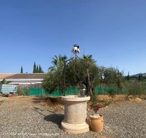  Finca en venta en Alhaurín el Grande (Málaga) 