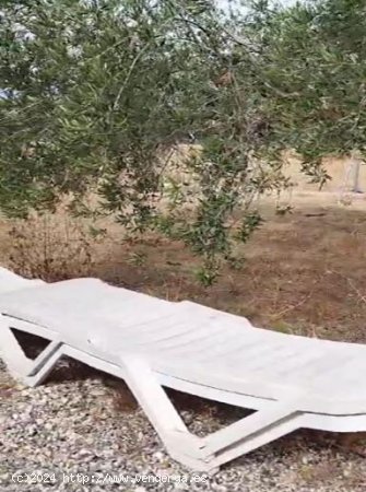 Finca en venta en Alhaurín el Grande (Málaga)