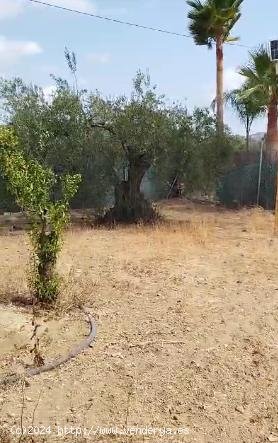 Finca en venta en Alhaurín el Grande (Málaga)