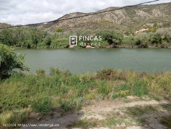  Finca en venta en Benifallet (Tarragona) 