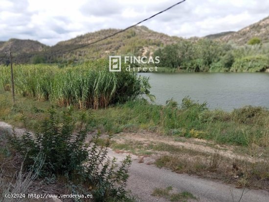 Finca en venta en Benifallet (Tarragona)