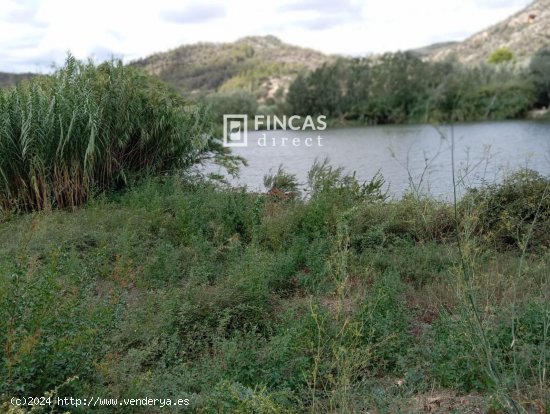 Finca en venta en Benifallet (Tarragona)