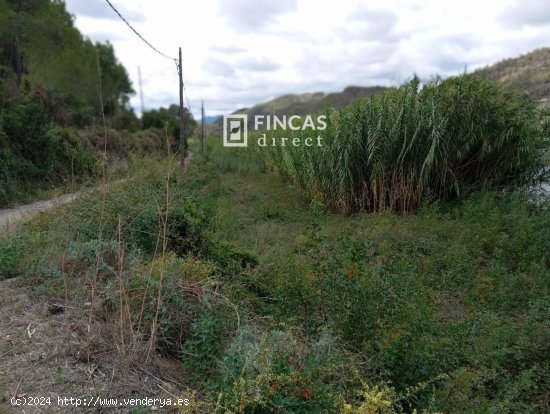 Finca en venta en Benifallet (Tarragona)