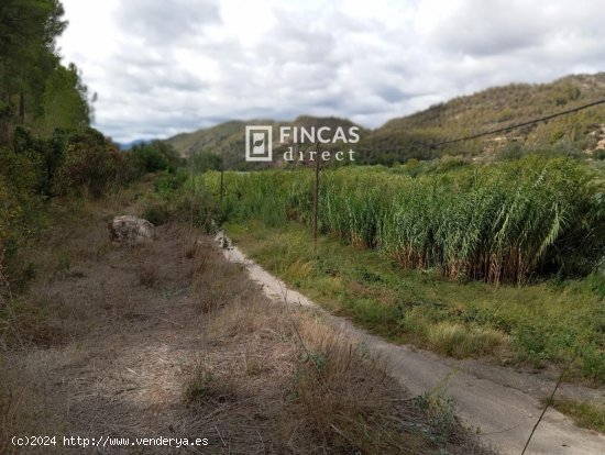 Finca en venta en Benifallet (Tarragona)