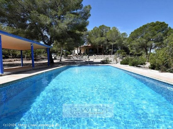 Finca en venta en Torrevieja (Alicante)