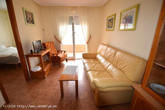 Apartamento en alquiler en Guardamar del Segura (Alicante)