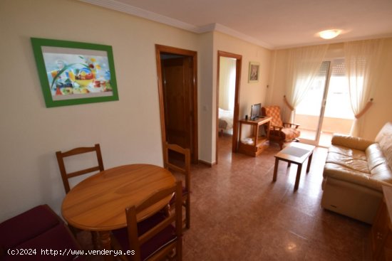 Apartamento en alquiler en Guardamar del Segura (Alicante)