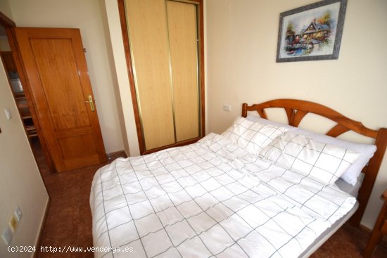 Apartamento en alquiler en Guardamar del Segura (Alicante)