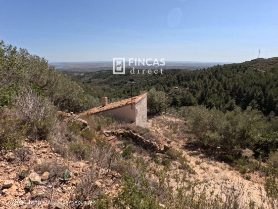 Finca en venta en Tortosa (Tarragona)