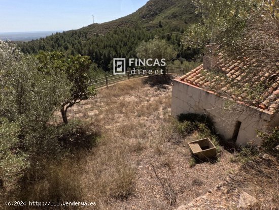 Finca en venta en Tortosa (Tarragona)