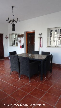  Finca en venta en Arcos de la Frontera (Cádiz) 