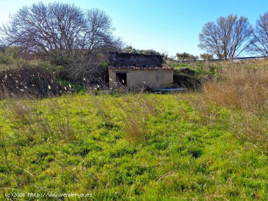 Finca en venta en Caspe (Zaragoza)