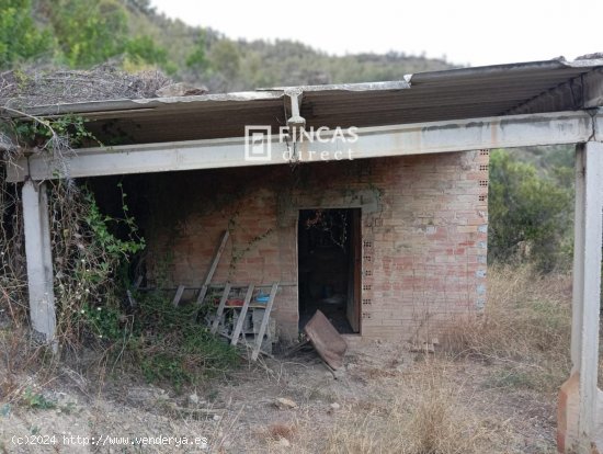 Finca en venta en Benifallet (Tarragona)