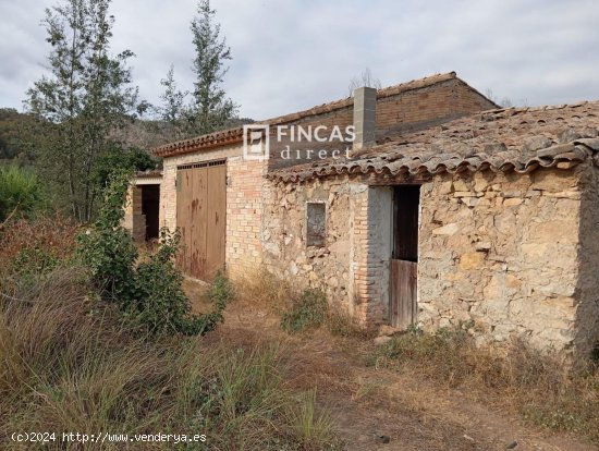  Finca en venta en Benifallet (Tarragona) 