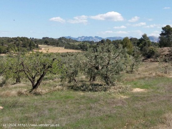  Casa en venta en Valderrobres (Teruel) 