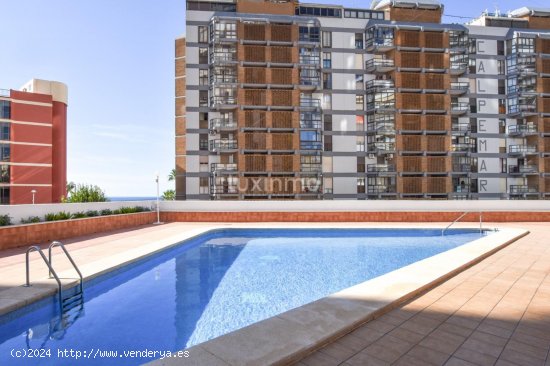 Apartamento en alquiler en Calpe (Alicante)