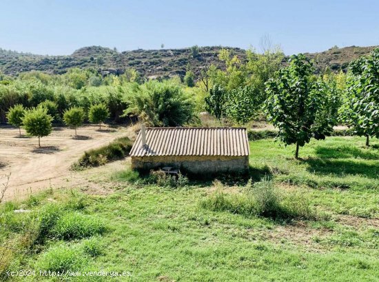 Finca en venta en Mazaleón (Teruel)