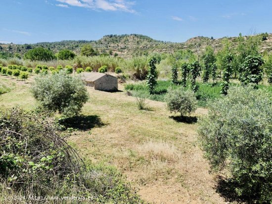 Finca en venta en Mazaleón (Teruel)