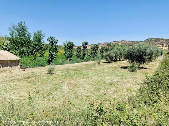 Finca en venta en Mazaleón (Teruel)